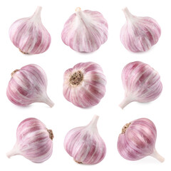 Fresh garlic bulbs isolated on white, set