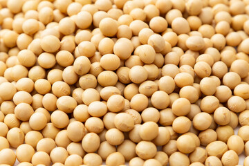 白背景に大豆