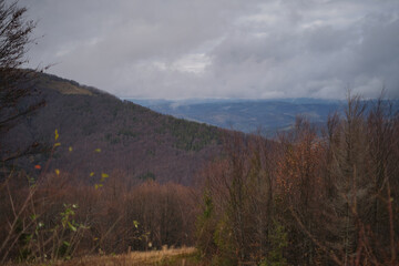 Foggy morning landscape with mountain range and misty forest, amazing autumn sunrise. Carpathian mountains, Ukraine. Panoramic view. High quality photo