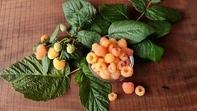 Yellow and red  raspberries fruit and leaves