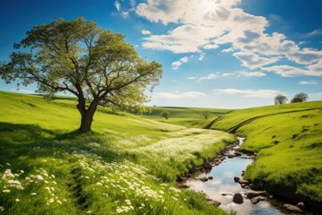 Nice sunny spring landscape with a river.