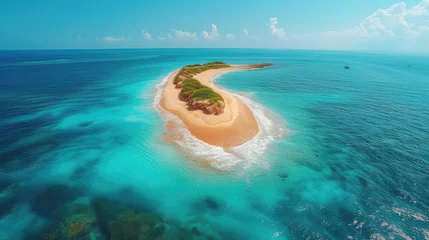 Fotobehang Sandy beach and tropical island by atoll with coral reef and axure water, top view. Patawan island with sandy beach. Summer and travel vacation concept. © PNG