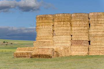 BALAS DE PAJA APILADAS EN EL CAMPO
