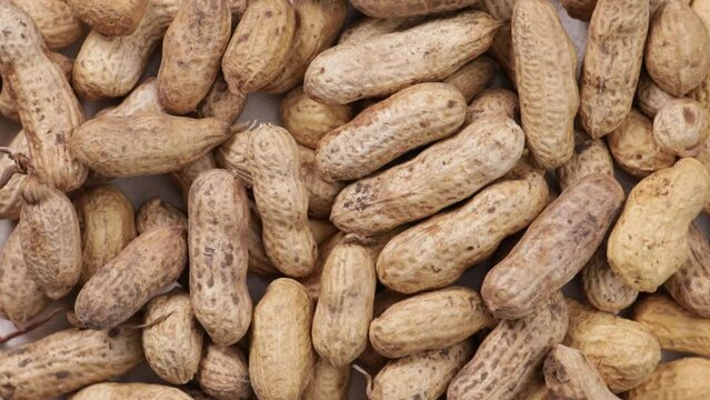 peanut top view on light surface