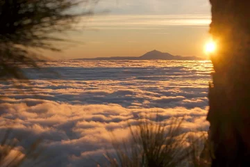 Foto op Canvas Sunrise in mountains with inversion phenomenon, low clouds lit by sun and Teide peak on horizon. Refugio Punta de Los Roques, National Park Caldera de Taburiente, La Palma, Canary Islands, Spain © Iwona