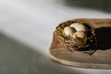 Sun-kissed nest with tiny eggs nestled on weathered wood, perfect for illustrating nature's tender...