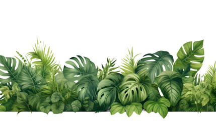 Fototapeta na wymiar Green Tropical Plants Arrangement. Exotic Leaves Floral Composition