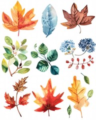 Obraz premium watercolor clip art set of autumn seasons leaves