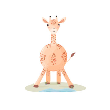 Cute vector giraffe standing on the ground next to river.  Illustration on white background.