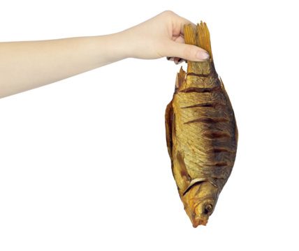 smoked fish, smoked bream in hand, outstretched hand with smoked fish, smoked bream isolated from background