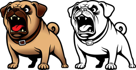aggressive barking dog pug breed in a collar.
