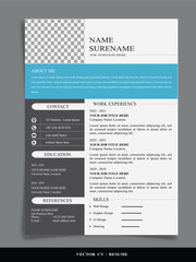 Professional Resume CV vector Graphic  design Templates