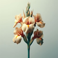 uncommon peony with twisted petals 
