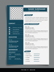 Professional Resume CV vector Graphic  design Templates