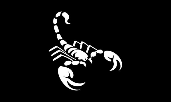 black and white scorpion | scorpion silhouette vector