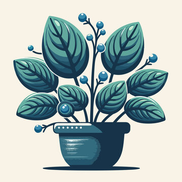flat design of homalomena leaf houseplant in a pot vector illustration