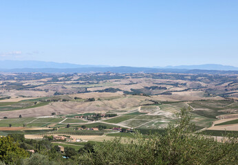 Fototapeta premium The rural landscape near Pienza in Tuscany. Italy