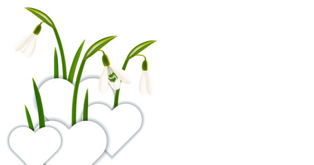 Snowdrop flowers in with paper hearts realistic vector illustration with copy space. Love Valentines day or Mothers day concept.