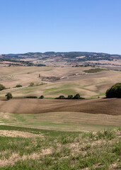 Obraz premium The rural landscape near Pienza in Tuscany. Italy