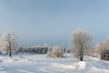 Winter landscape in a village on a sunny clear day.