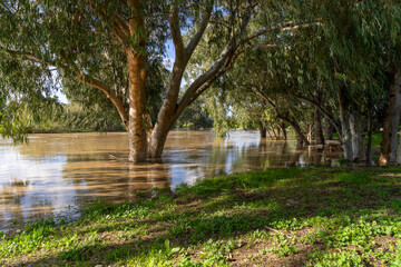 Nahal Alexander (Alexander Stream) on a beautiful day after many days of rain.  Flooding of Nahal...