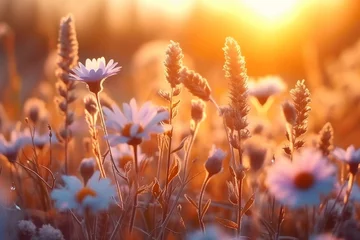 Schilderijen op glas meadow flowers in early sunny fresh morning. Vintage autumn landscape background. colorful beautiful fall flowers magical. generative ai. © SEUNGJIN