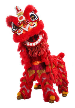 Lion dance isolated on white background