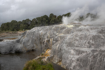 water coming out of geyser on cloudy day in rotoura, new zealand