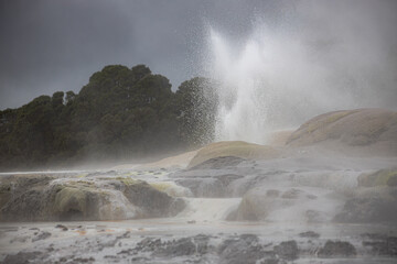 water coming out of geyser on cloudy day in rotoura, new zealand