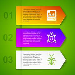 Set line Monitor with cardiogram, Parasite mite, Cockroach and Test tube and flask. Business infographic template. Vector