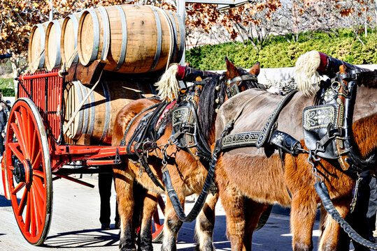 Horse parade at the festival of the three graves in Igualada, Barcelona. festivity of San Antonio