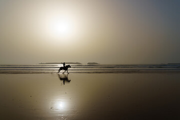 Silhouette of a horse, the beach of Essaouira