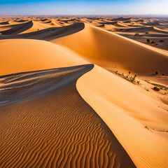 Panoramic view of landscape Sahara desert, sandy dunes and  vegetations sunny day. Photography of desert hills with sand, blue sky, clouds. Sahara, Tozeur city, Tunisia, Africa. Copy ad text space