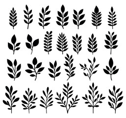 Collection of black silhouettes of different types of leaves on a white background. Leaves come in different shapes and sizes, reflecting the diversity of natural forms.