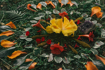 earth altar mandala of flowers and natural elements, ritual, ceremony