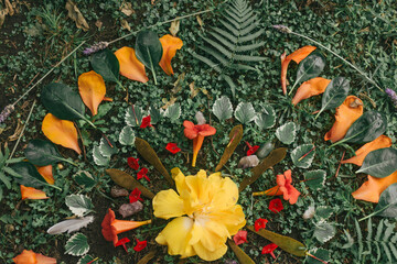 earth altar mandala of flowers and natural elements, ritual, ceremony