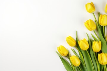 Yellow Tulip Blossom: Beautiful Spring Bouquet on a Green Background with Copyspace for Text, Top