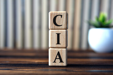 CIA- acronym on wooden cubes on the background of books and a cactus - obrazy, fototapety, plakaty