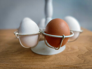 Brown egg among white eggs in an egg holder as a concept of standing out from everyone and the...