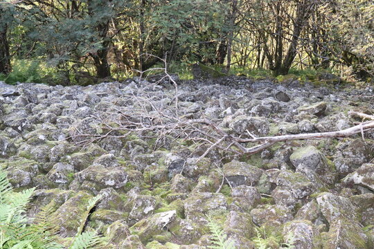 Blockmeer aus Basalt in der Rh&ouml;n.