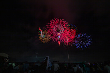 田原まつり花火大会