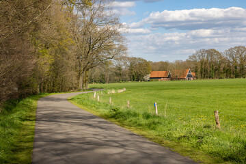 Fototapeta na wymiar farmhouse in the field with road