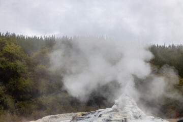 boiling geyser at wai o tapu on the north island of new zealand