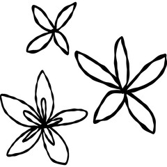 Fototapeta na wymiar set of black and white flowers