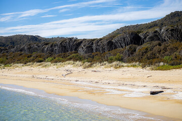 deserted beach of abel tasman island in new zealand