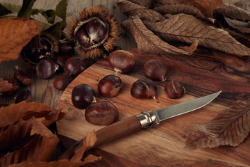 Chestnuts and leaves with knife