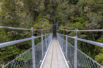 abel tasman suspension bridge in the middle of the forest, new zealand