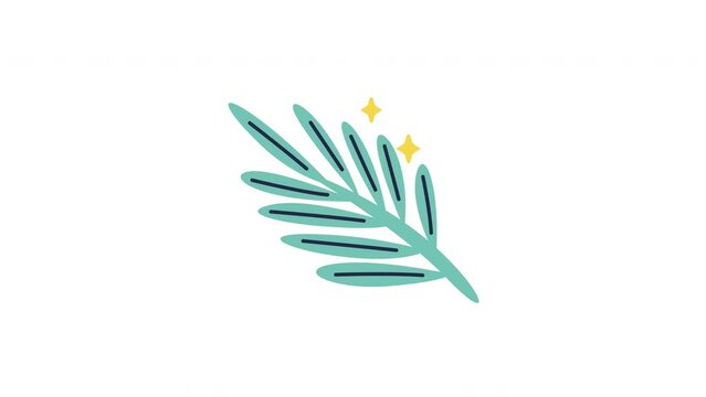 coconut leaves animation with looping , 4k resolution, and Alpha Channel