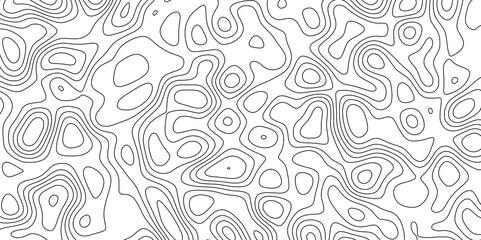 abstract white wave paper curved reliefs background. Topography map pattern, Geographic curved, vector illustration. seamless textrue, vintage waves. Panorama view multicolor wave curve line.	