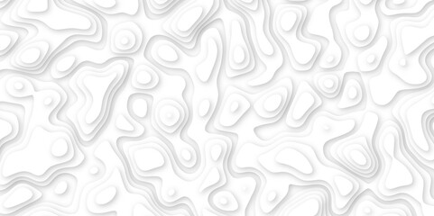white paper and relief wave and cruve line paper cut background. soft white color seamless pattern, vector illustration, multi layer cutout banner design. topo counter map in 3d view.